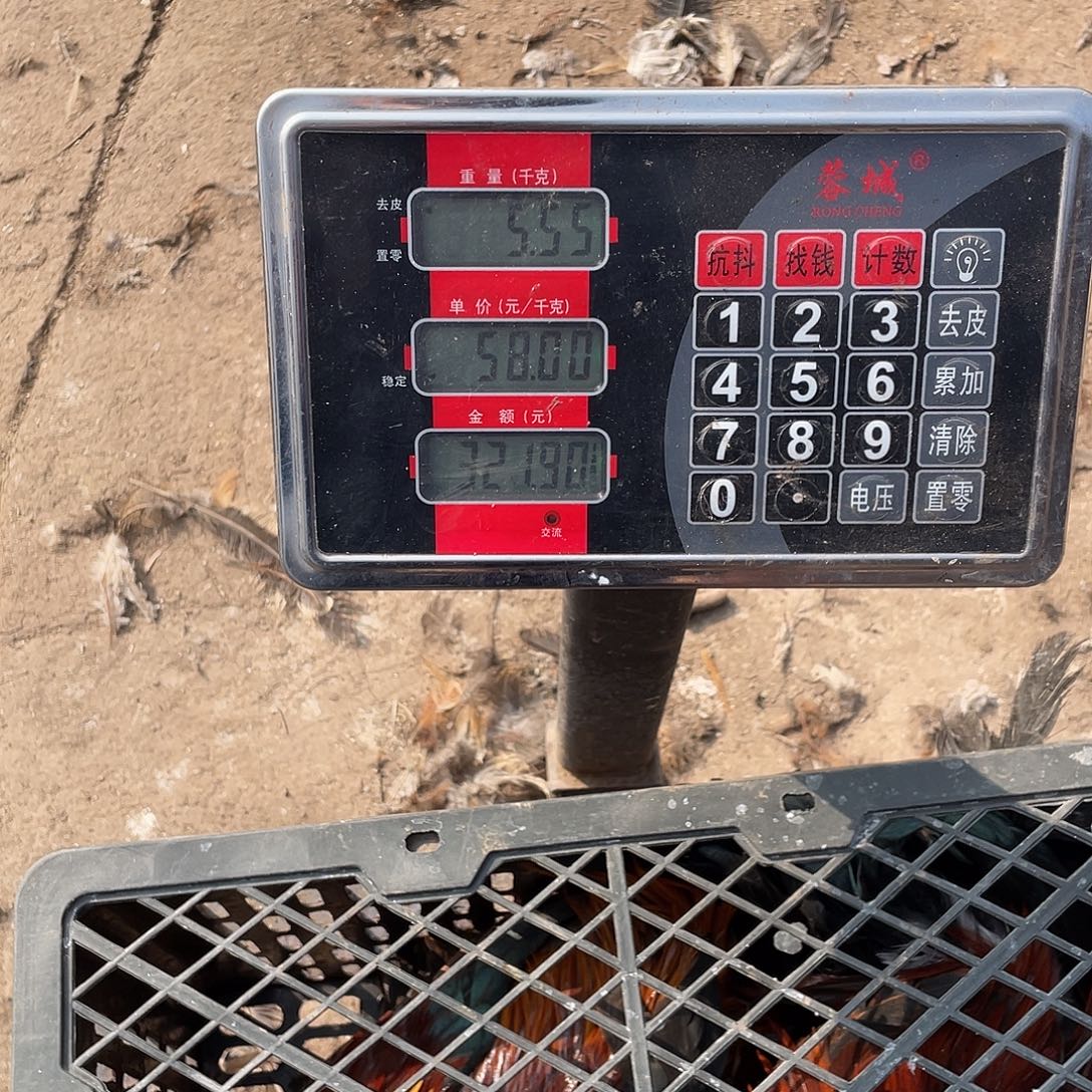 365天包装112跟113号宰杀发货