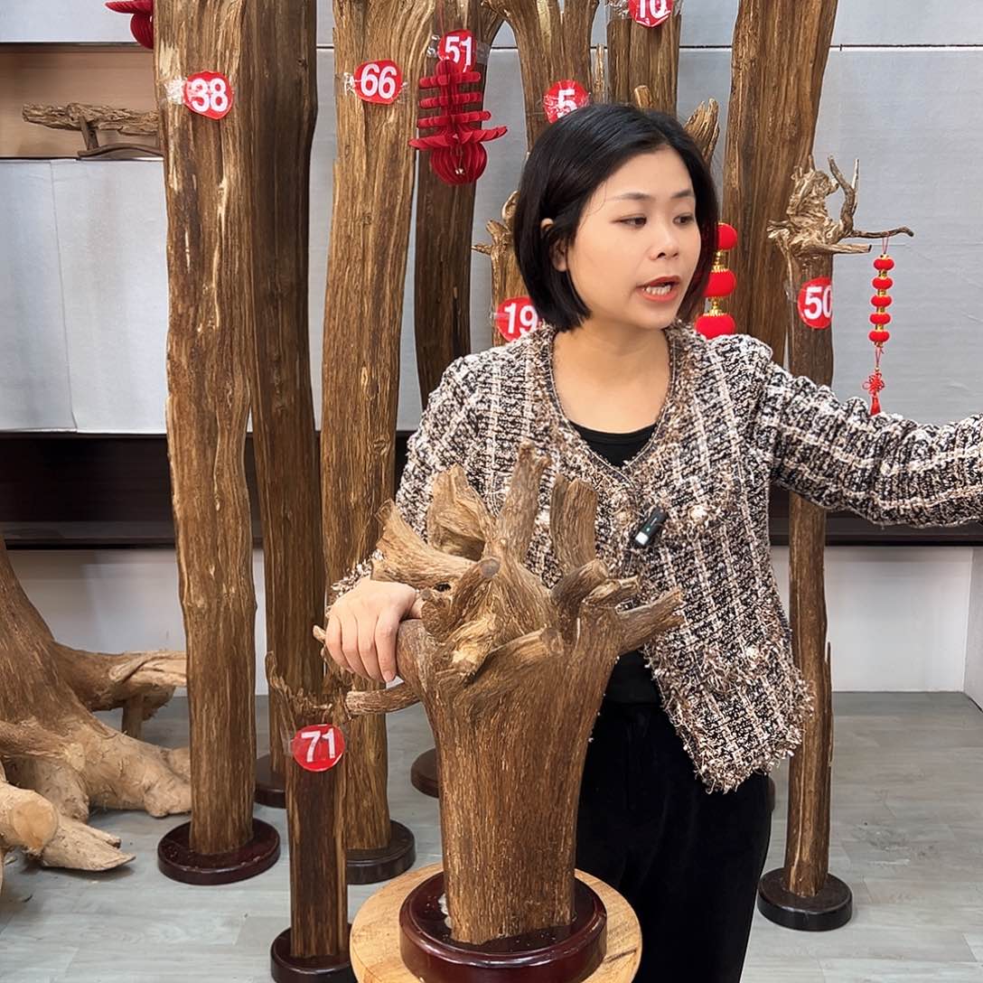 沉香摆件沉香摆件