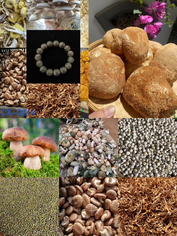 《阿浩专属土特产》CX0614 （多样性发货） 重量28g