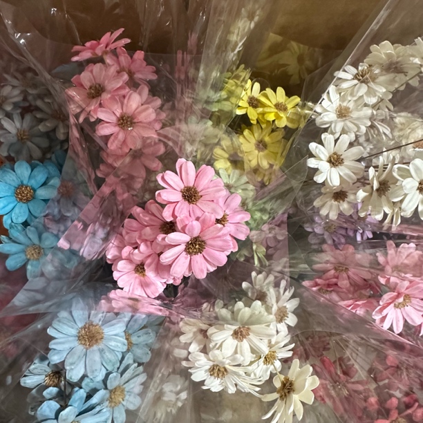 永生手工瓜子花做手工插花瓶花店插花diy