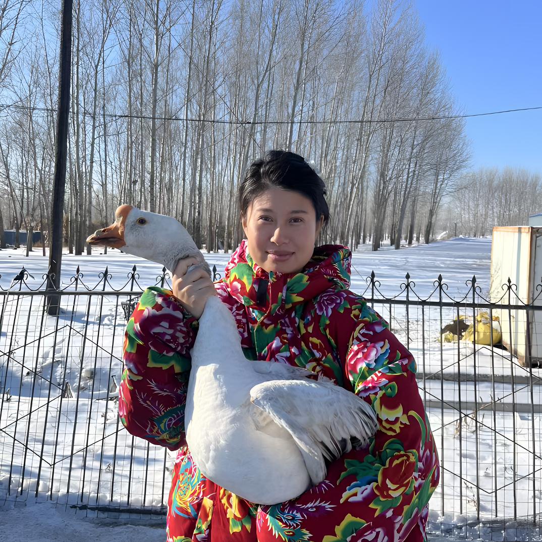 东北农村散养溜达笨大鹅（含心肝珍）