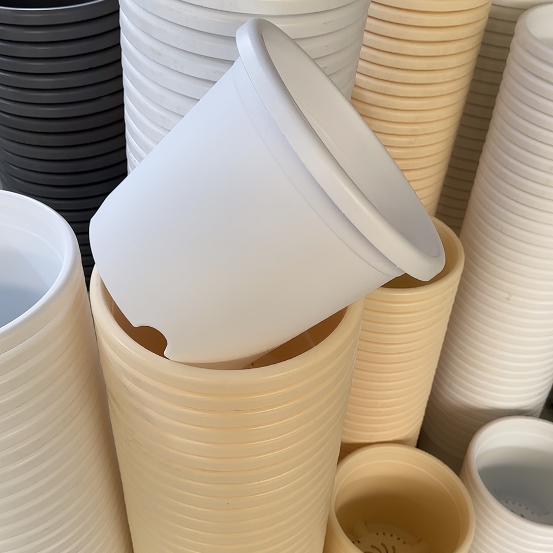 微瑕5号6个无托，白色