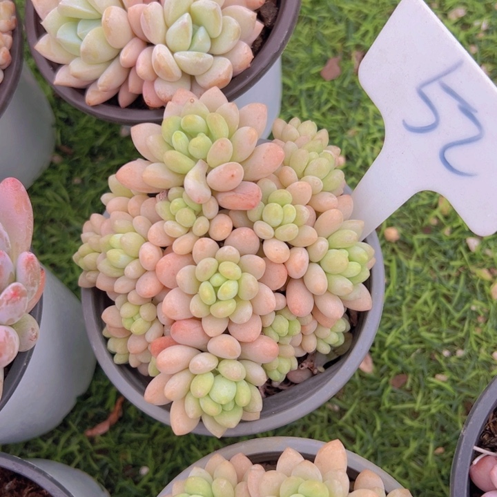 健健康康平平安安