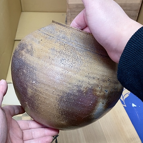 紫砂哈哈哈哈哈就哈哈