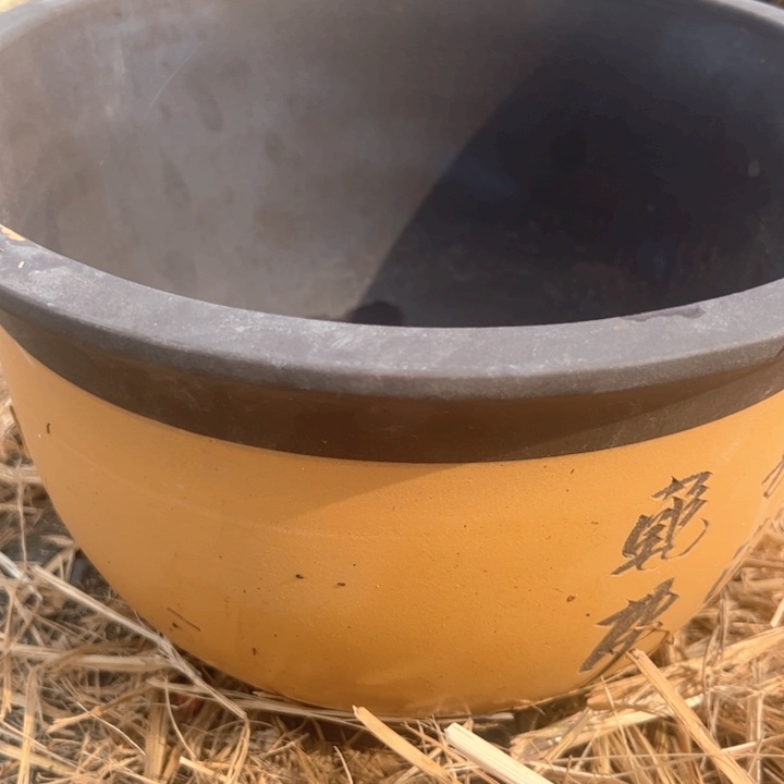 红陶紫砂碗盆口32