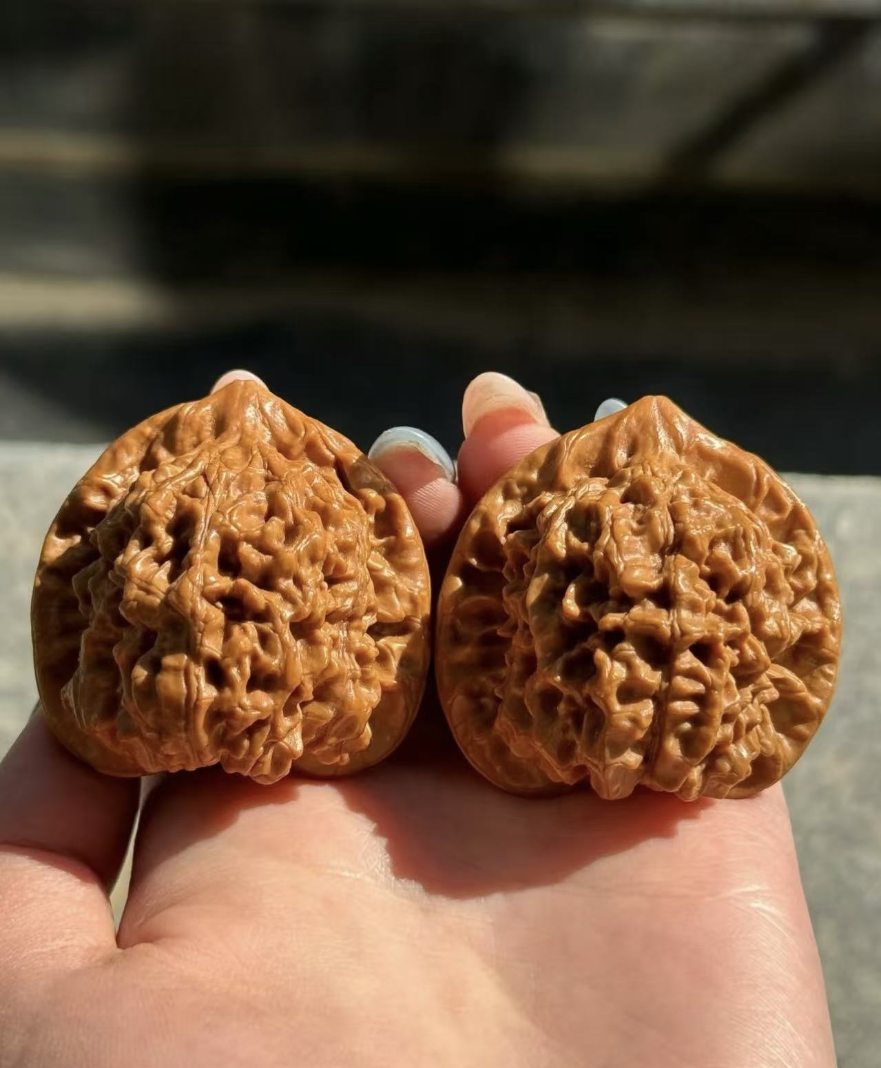精配对老树麒麟纹大官帽文玩核桃骨质棒手感佳可盘玩