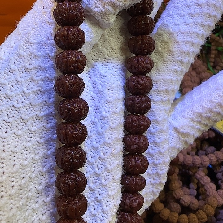 吊坠金刚菩提老树