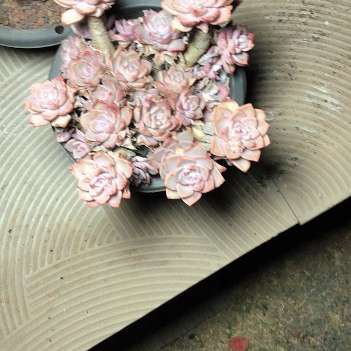 龙**_58////////////