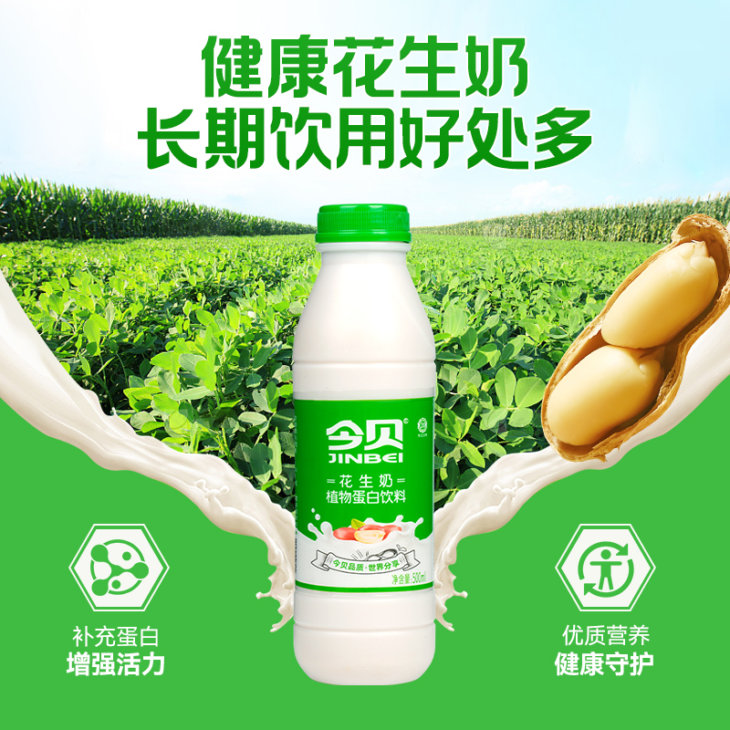 今贝花生奶植物蛋白饮品500ml早餐奶瓶装