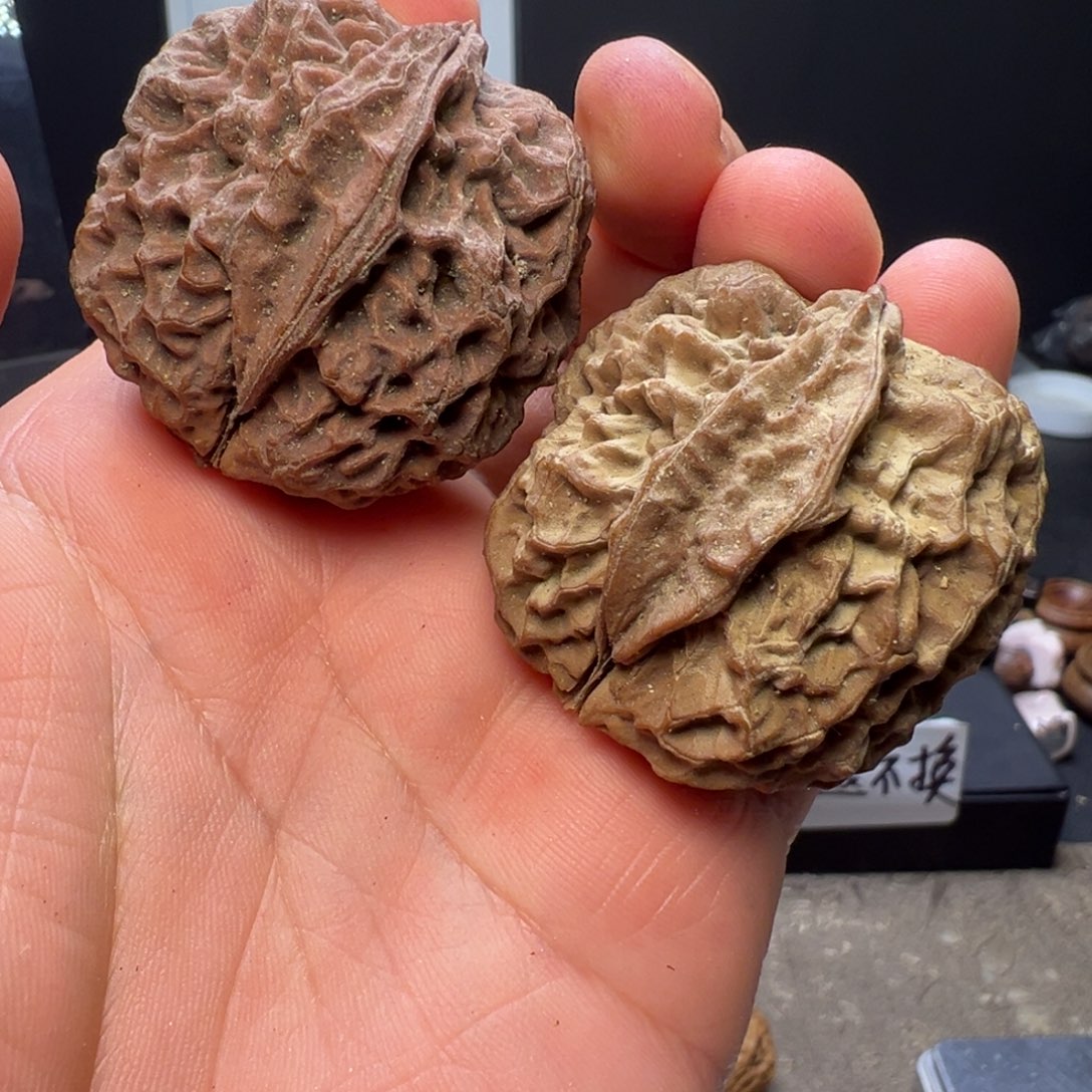 吊坠文玩核桃滚龙纹生命之源41mm