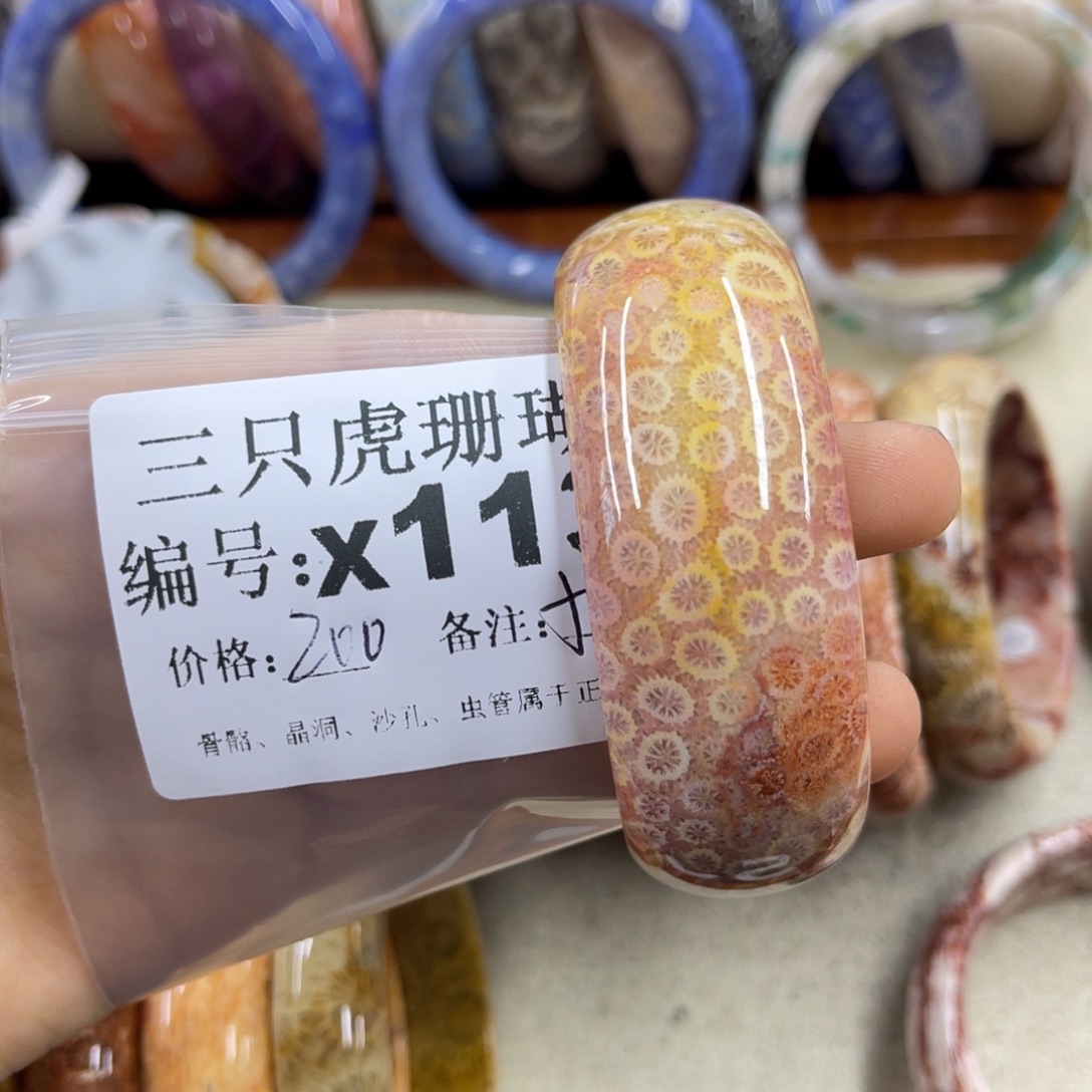 8***8硅化珊瑚（珊瑚玉）未镶嵌h