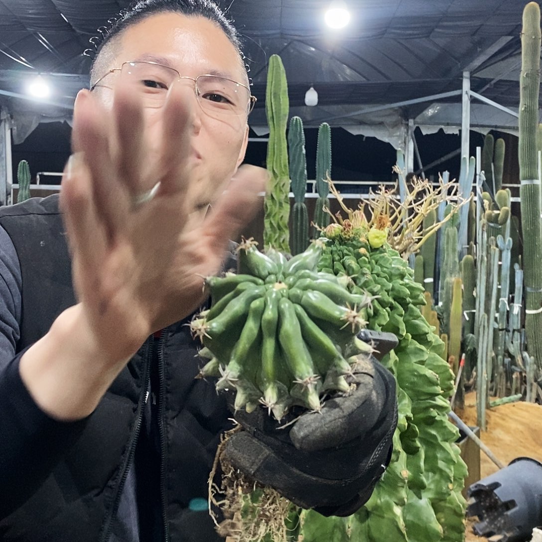3号拍品。               