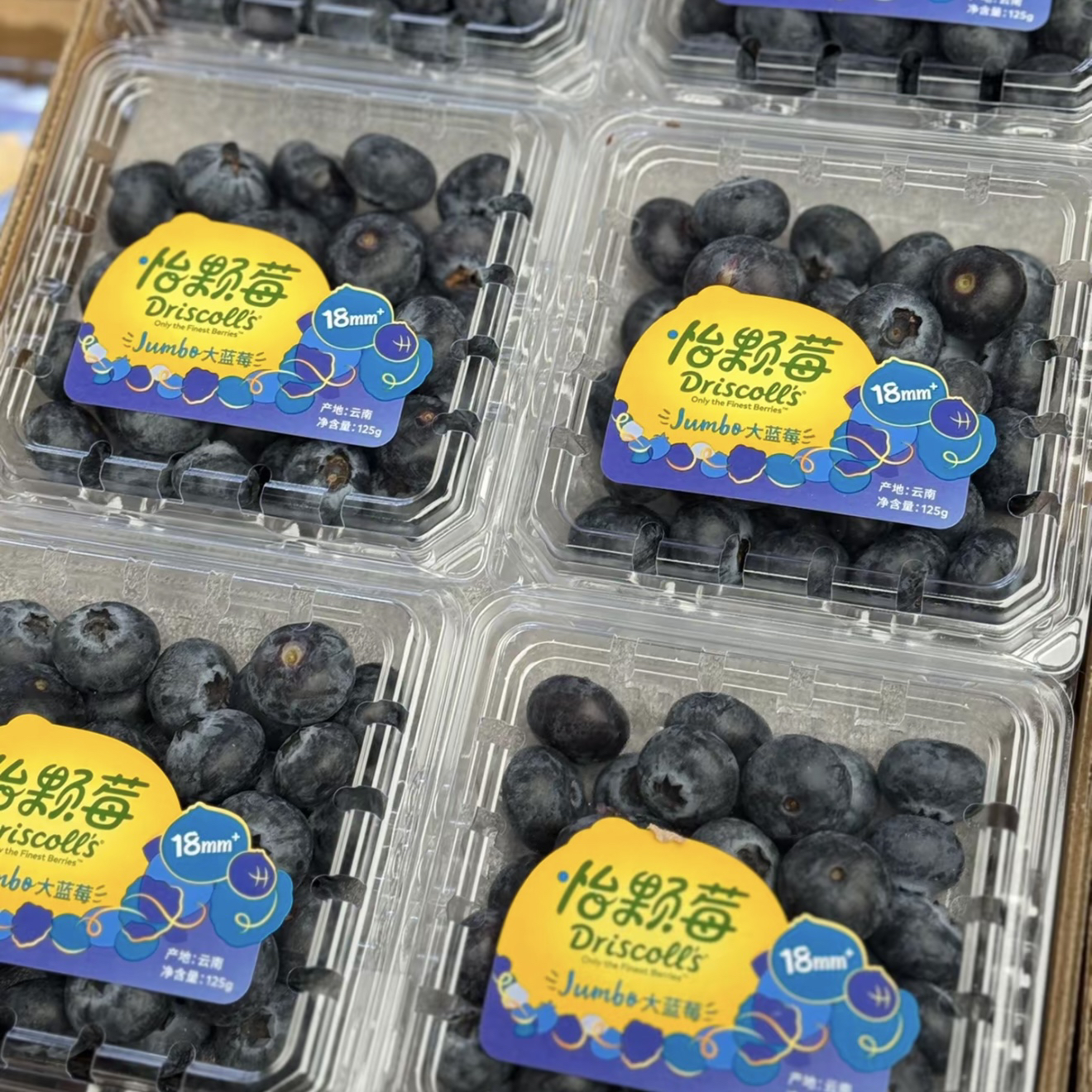 怡颗莓蓝莓14mm一箱12盒净重3斤安徽省