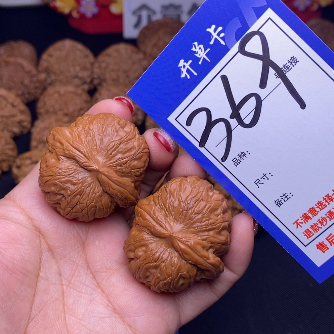 369号链接元宝4.0尺全品