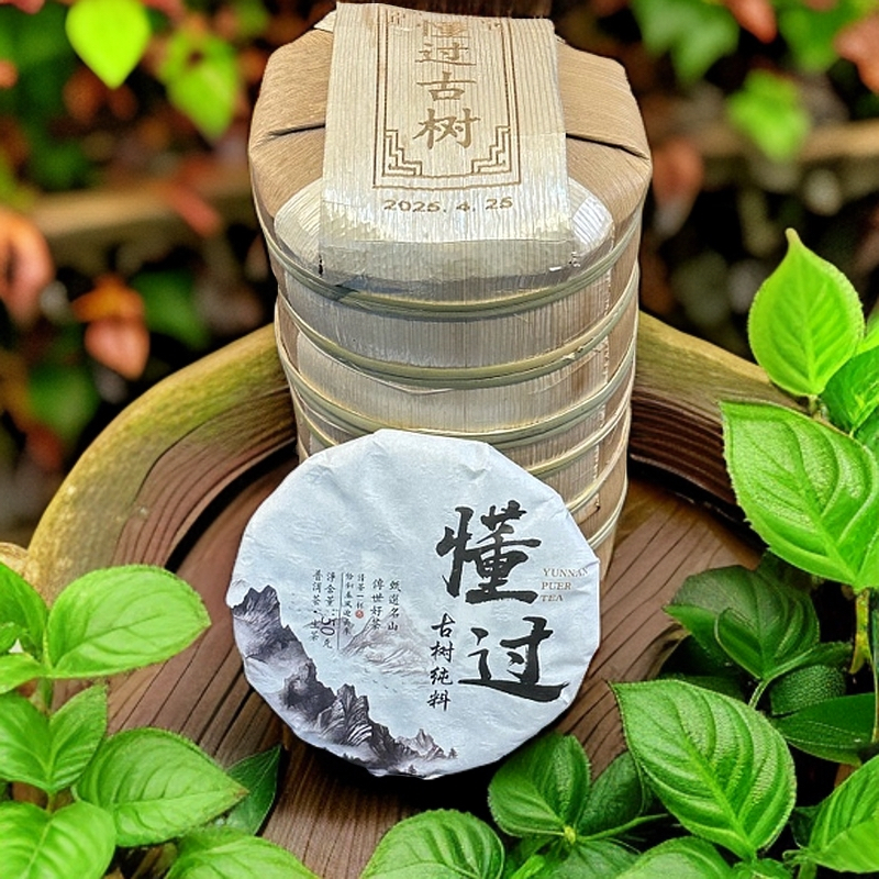 2025年   磨烈山懂过古树头春普洱生茶 50g/饼(整提10饼➕1饼）