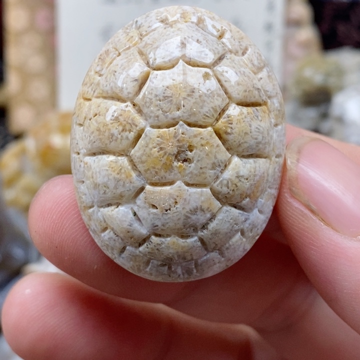 颈饰未镶嵌硅化珊瑚（珊瑚玉）有瑕