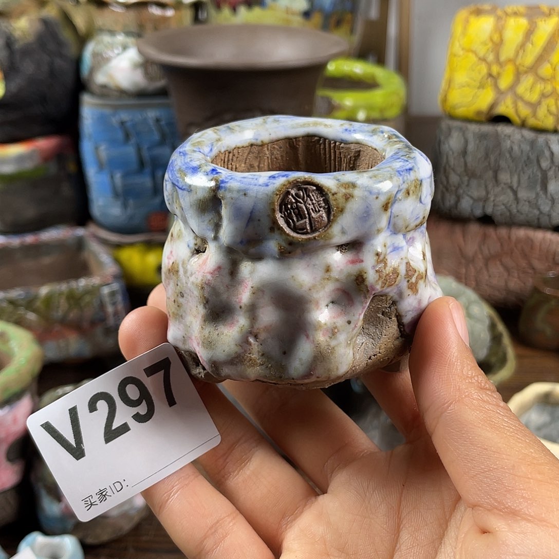 默认微次  限时福利 坛子姐花盆