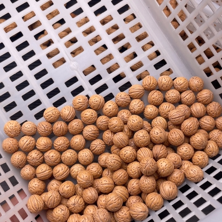 用***3大叶紫檀（黑酸枝木类）散发240元优惠活动