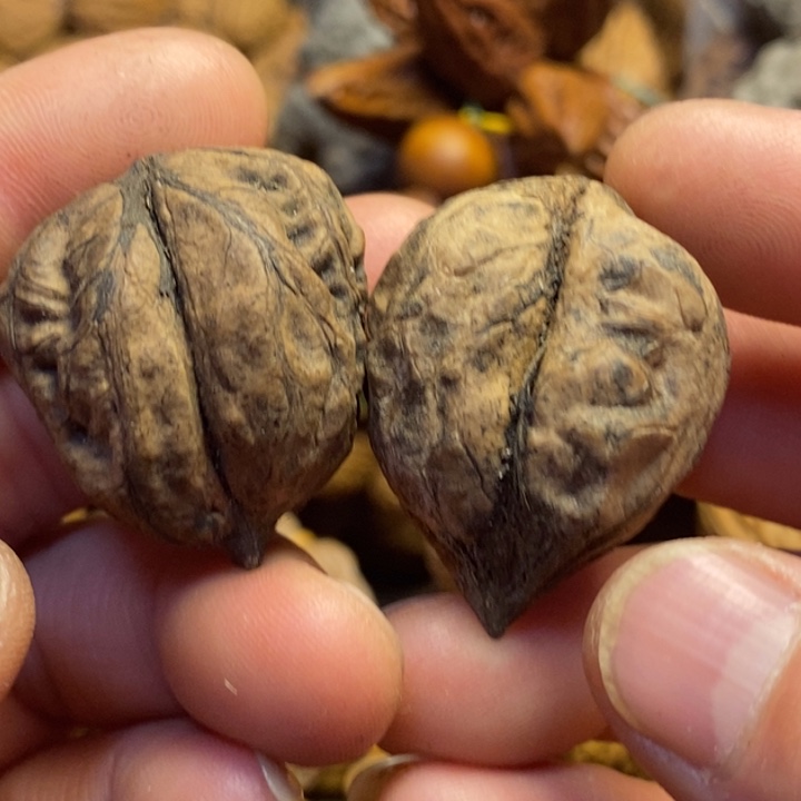 桃核吊坠娜姐有个15