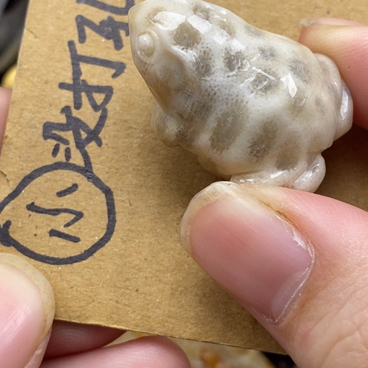 硅化珊瑚（珊瑚玉）未镶嵌颈饰