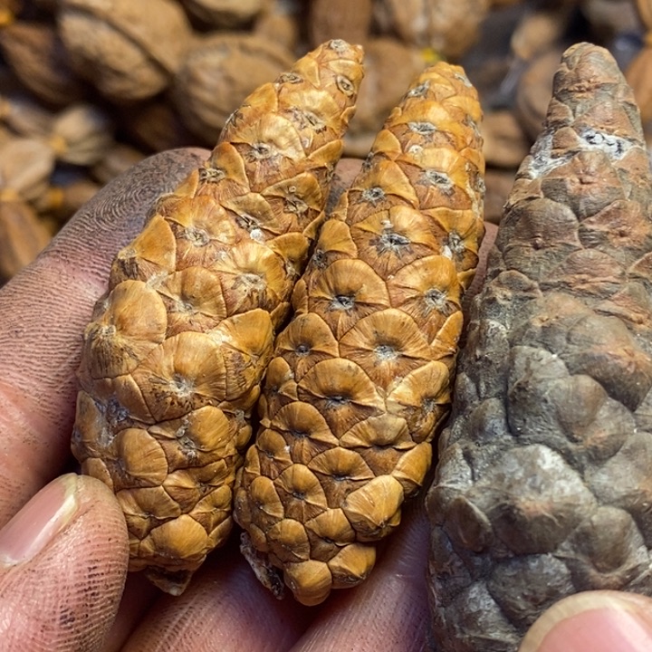 文玩核桃吊坠东北特产227