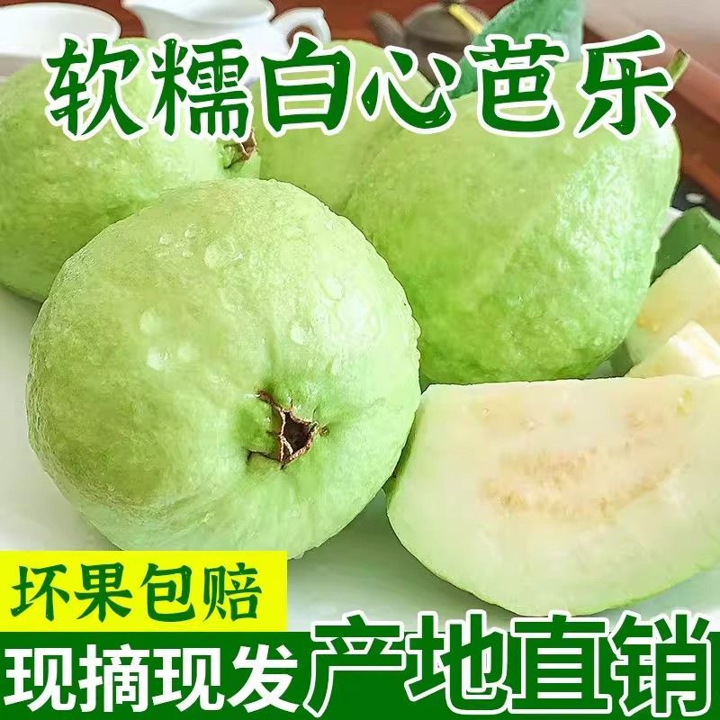 正宗福建奶油芭乐(脆软两吃)软糯白心番石榴应季水果