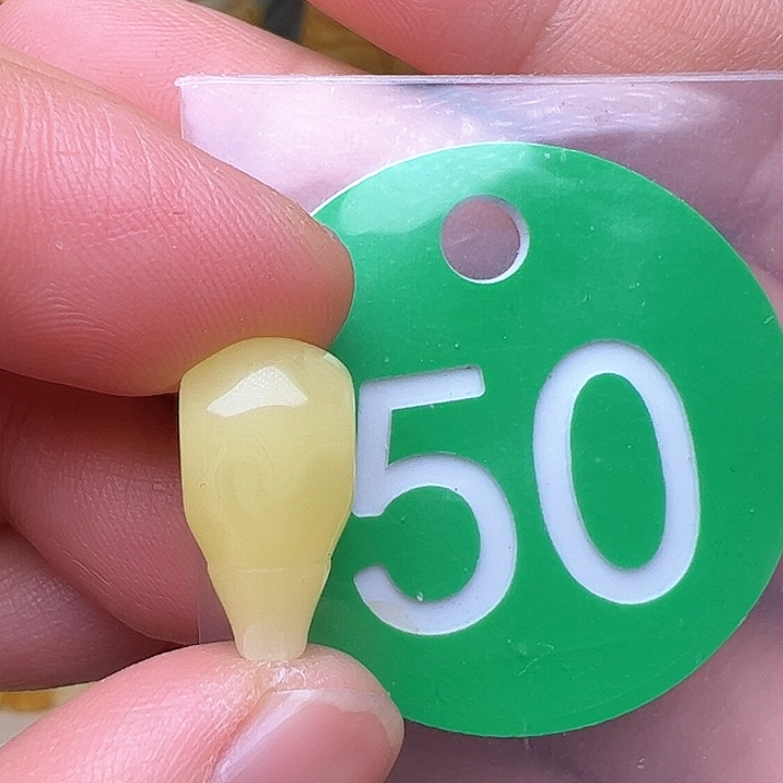 蜜蜡裸石未镶嵌8.8m m