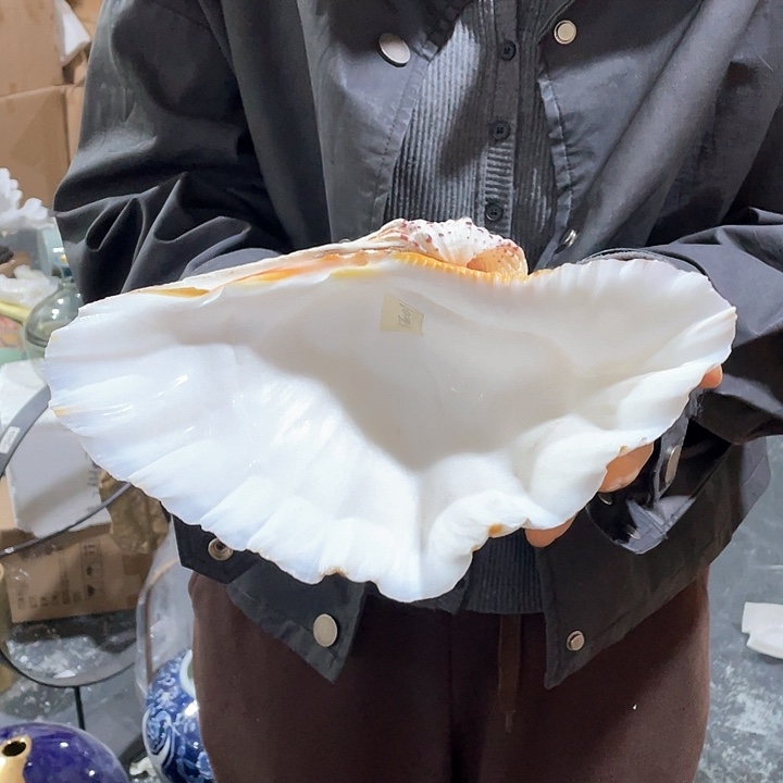 陶瓷花瓶，仿真绿植。