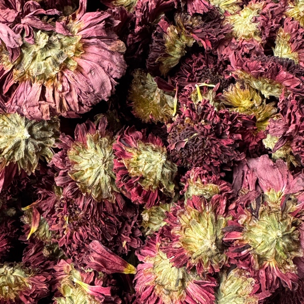 中缅农品-下山墨菊