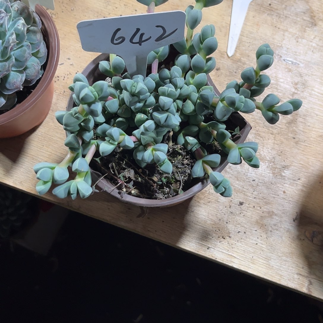 远***你000000000000000000642