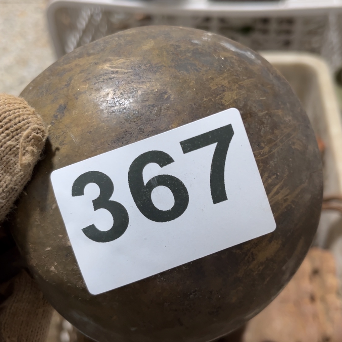 新***林一物一图，工艺品。