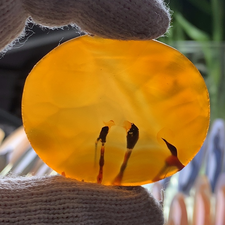 未镶嵌颈饰玛瑙/玉髓216