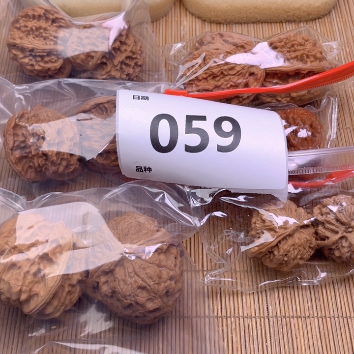 文玩核桃把件59号6对