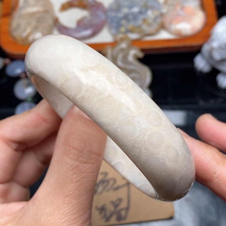 硅化珊瑚（珊瑚玉）颈饰未镶嵌60