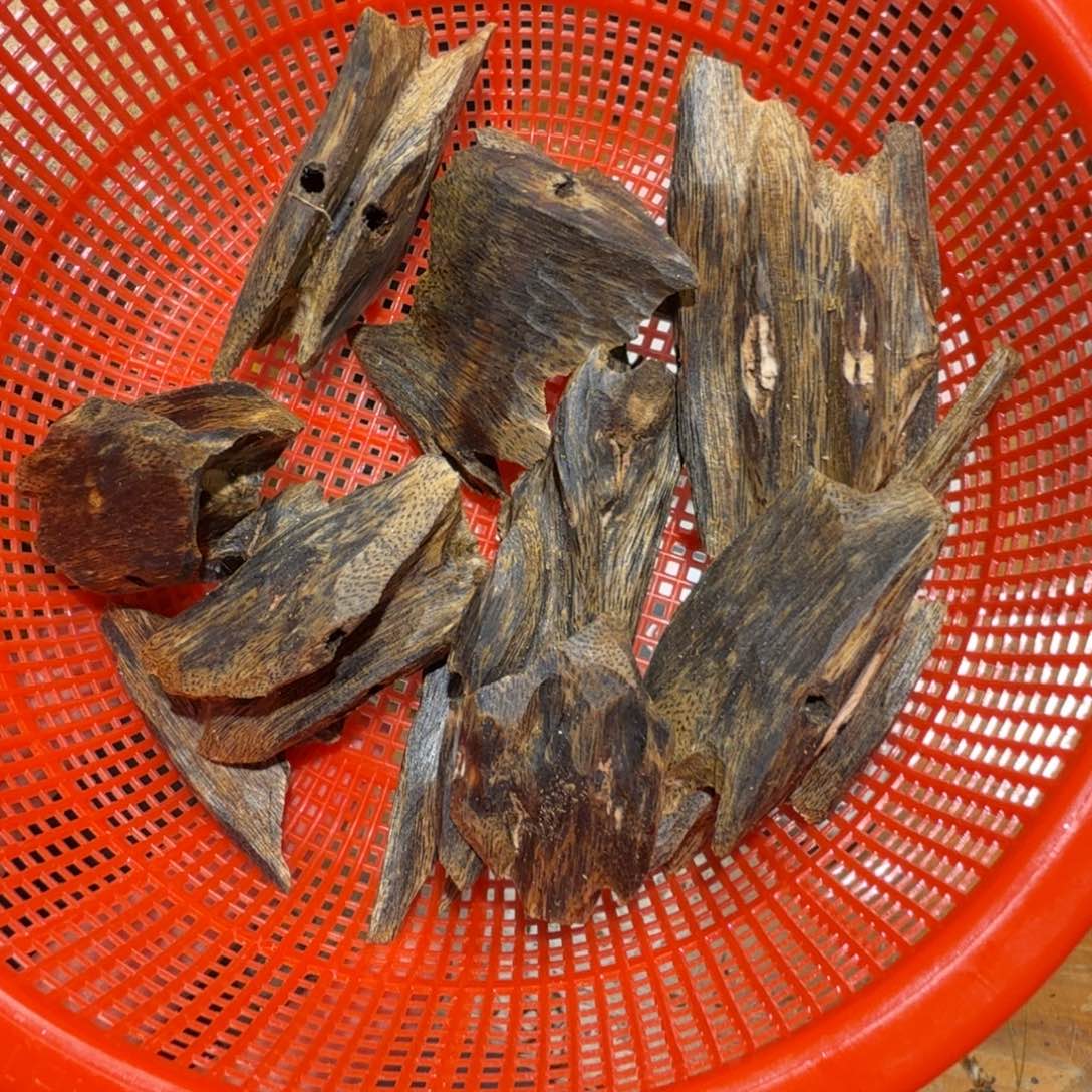 棋楠沉香白奇块料76克