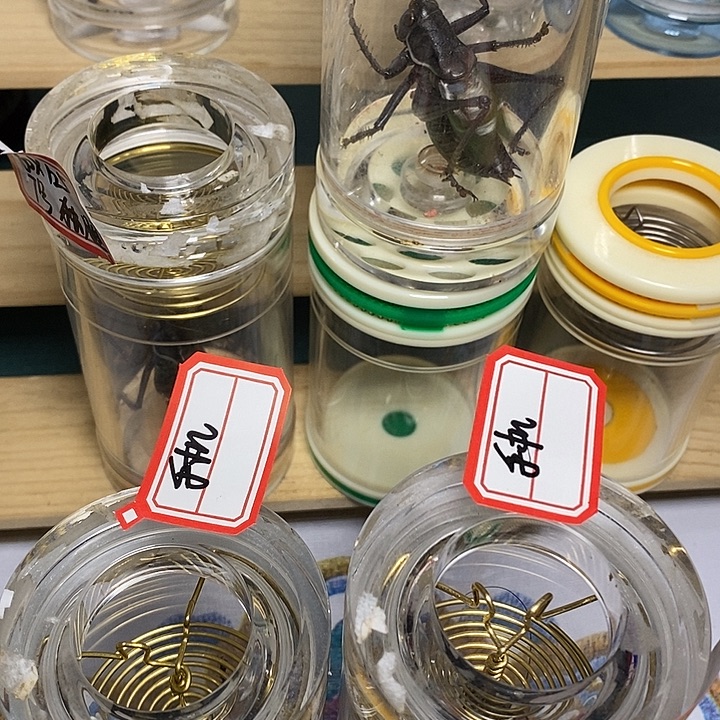 蝈蝈60-135单60-155单手机用户
