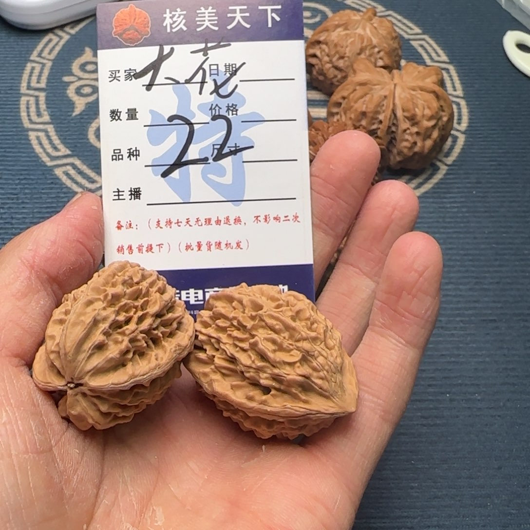 大*招财鼠的一天开始