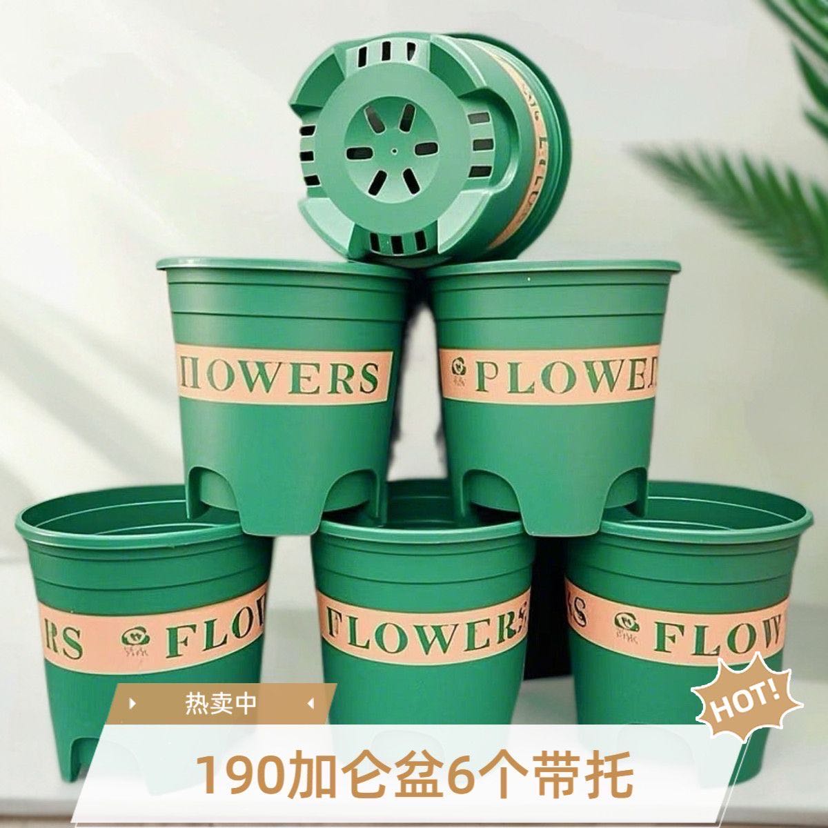 （6个带托盘）190加仑花盆>直径19高18.5厘米