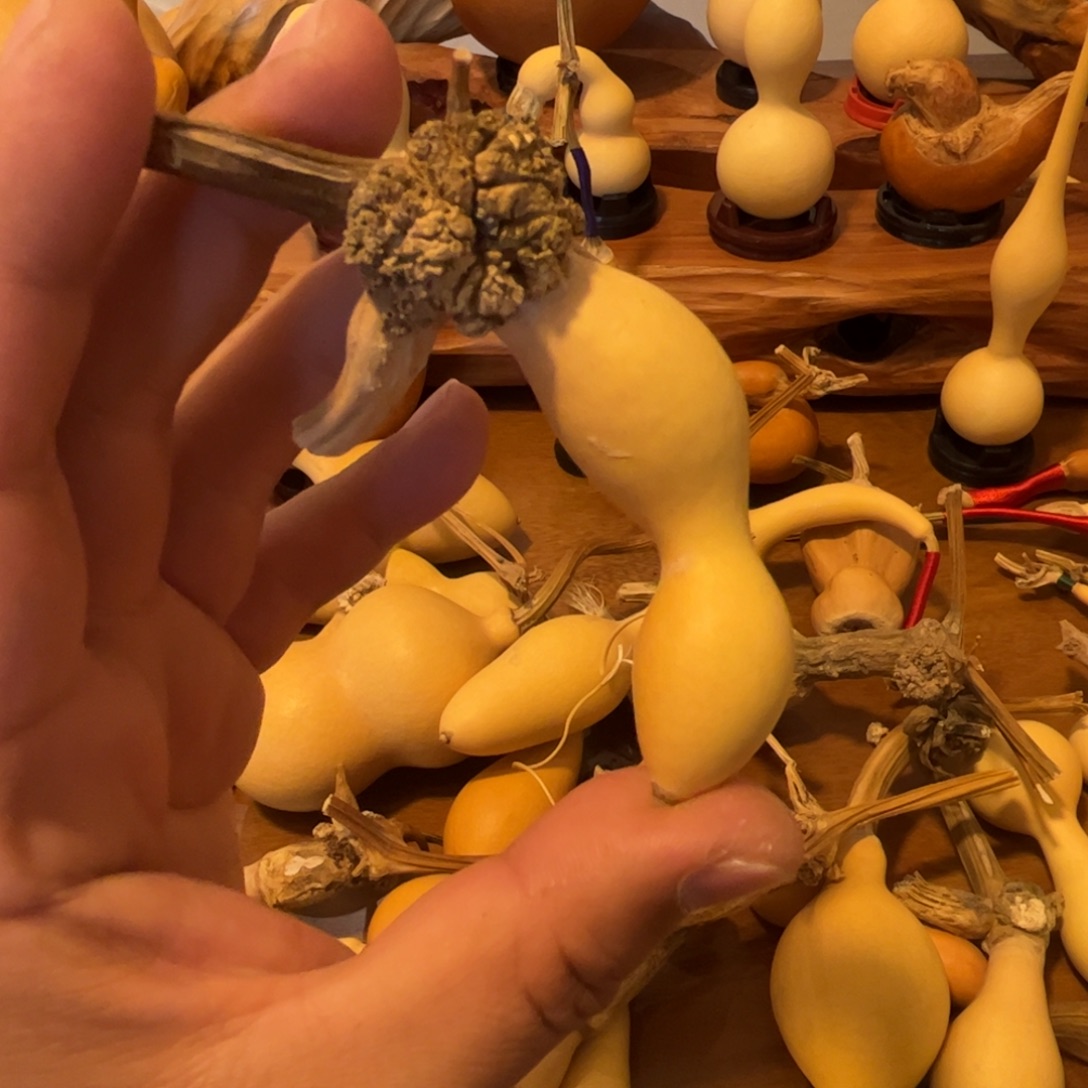 瑞***气文玩葫芦吊坠项链