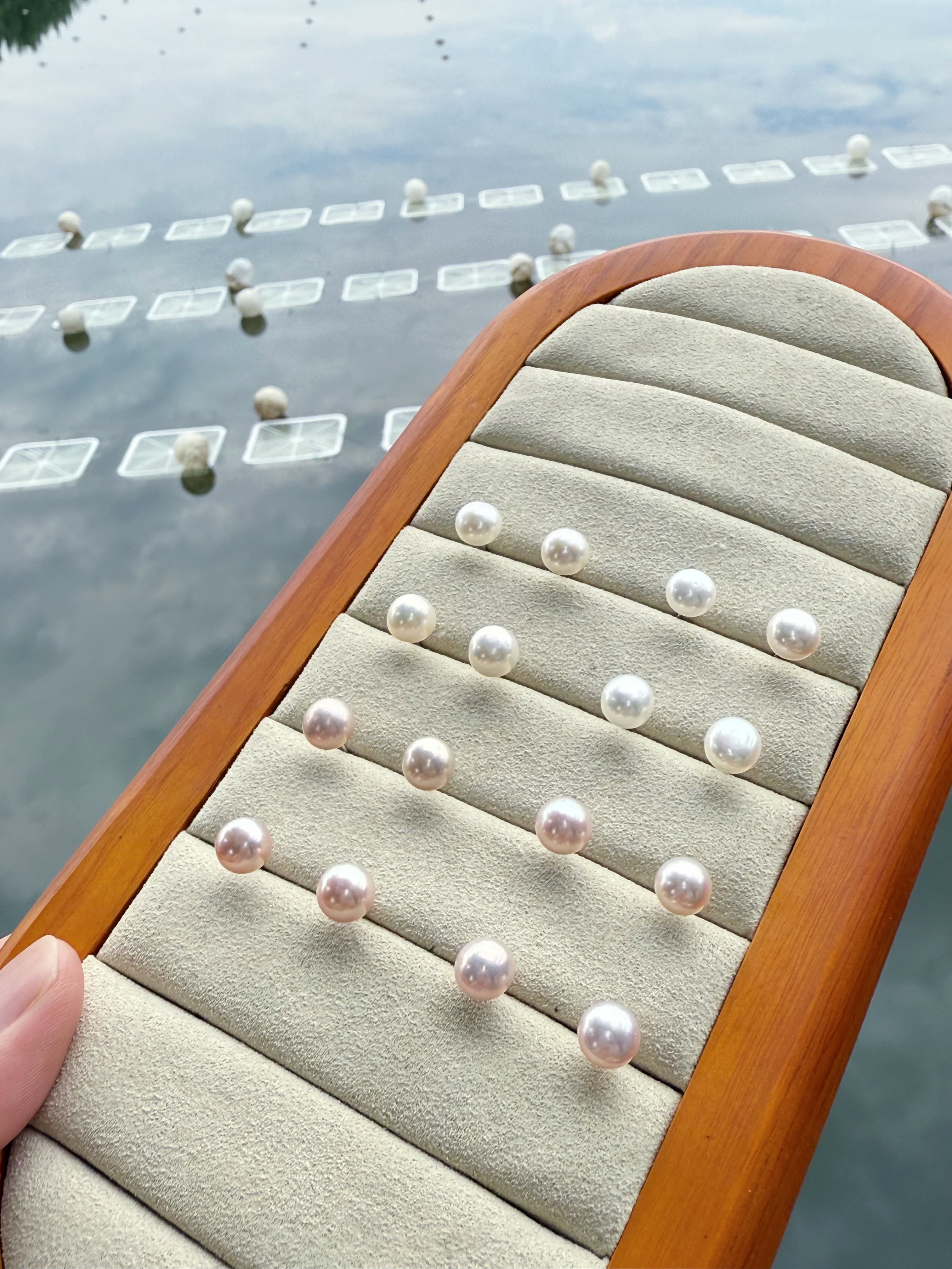 天花板极光 ▎无暇 淡水无核 珍珠约 7mm 耳钉