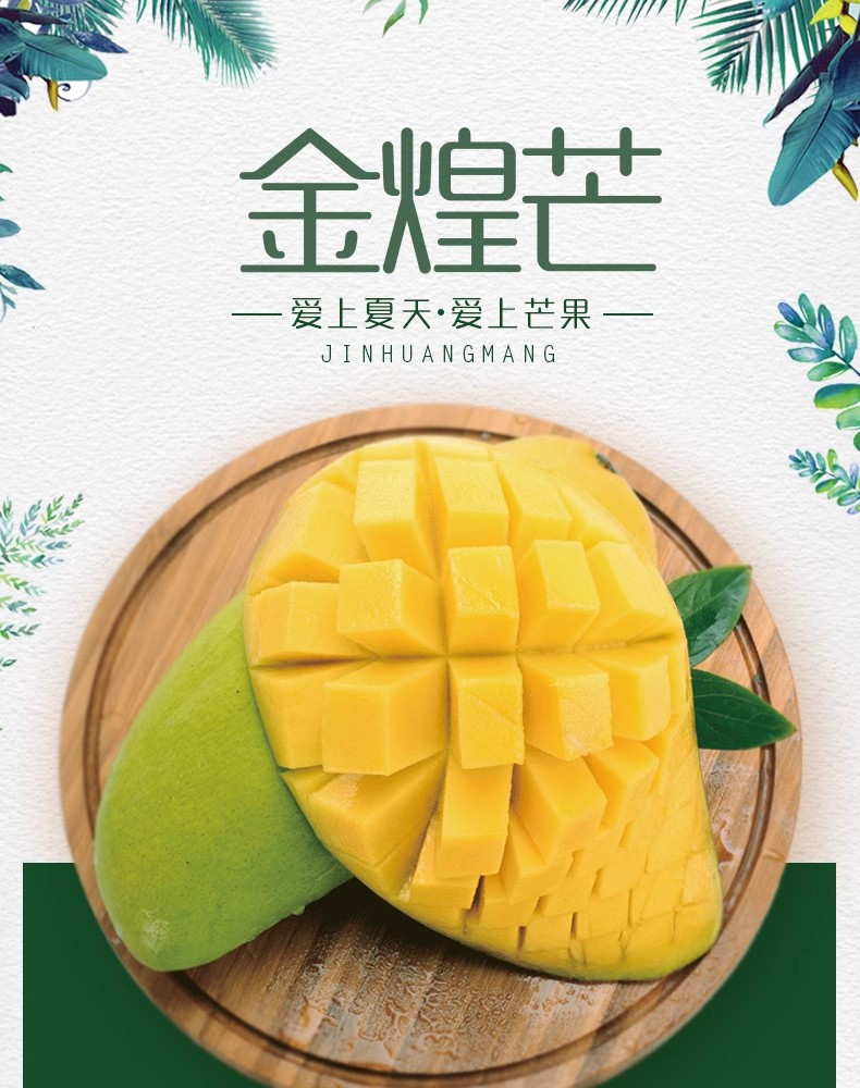 【青皮金煌芒】皮薄肉厚汁水丰富新鲜应季水果产地现摘现发