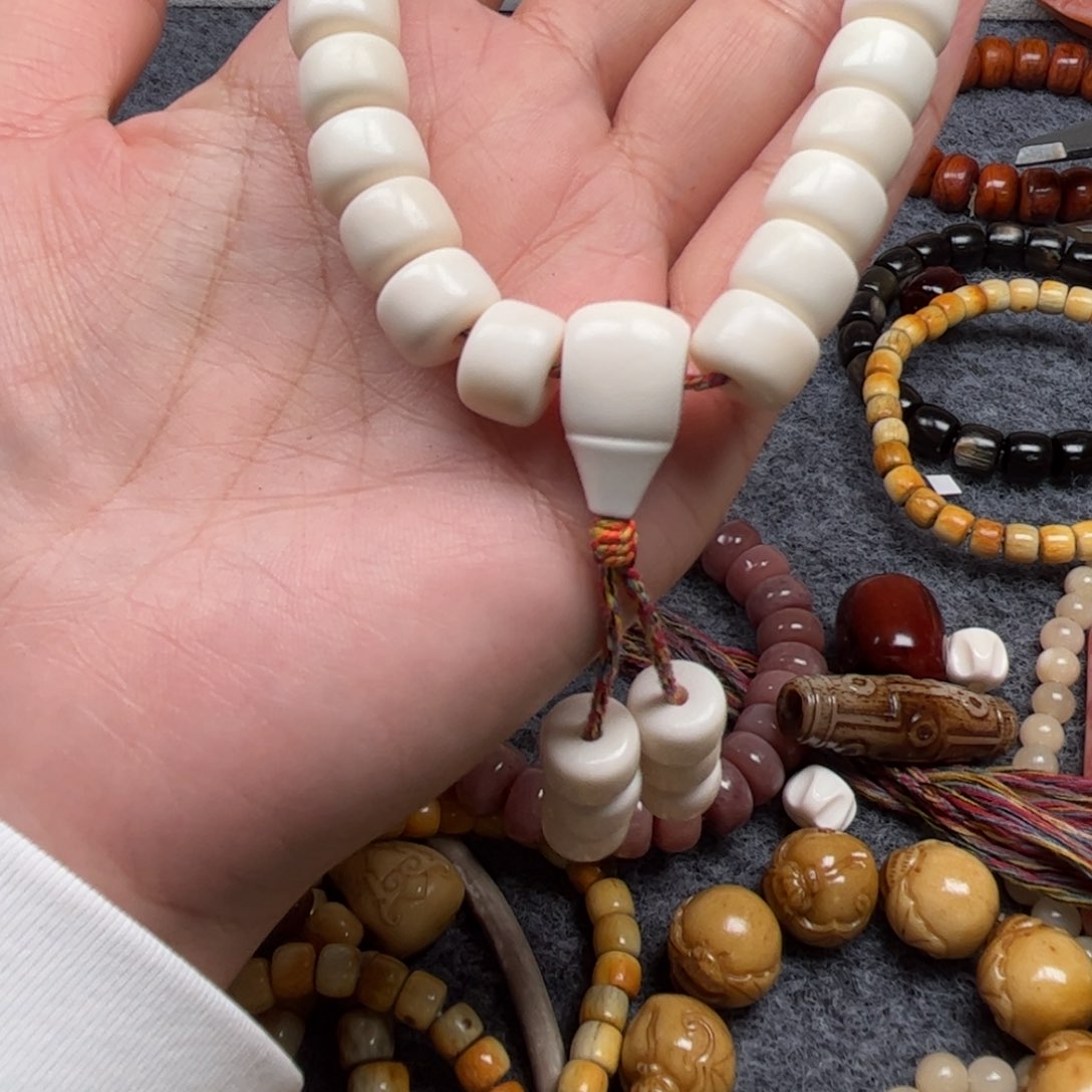 鹿骨其他人工养殖驼骨31