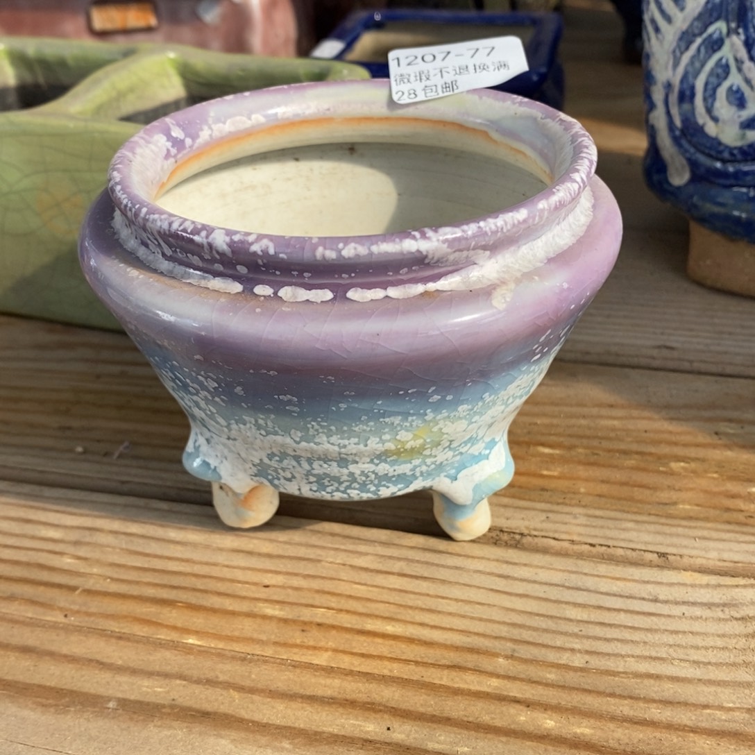 77号多肉盆口径8小可爱