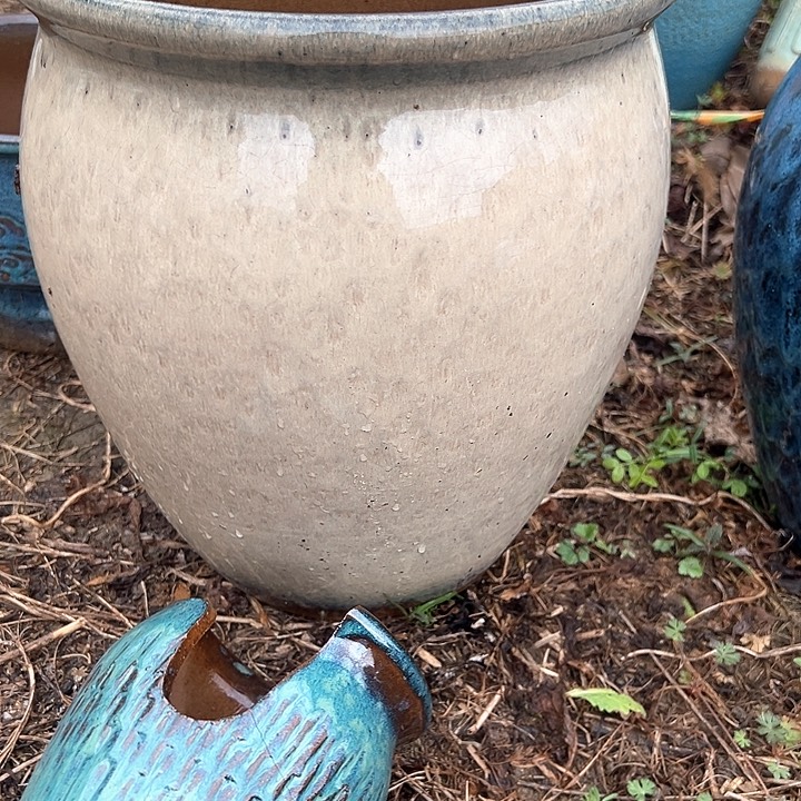 红陶口26高30。。。。。。