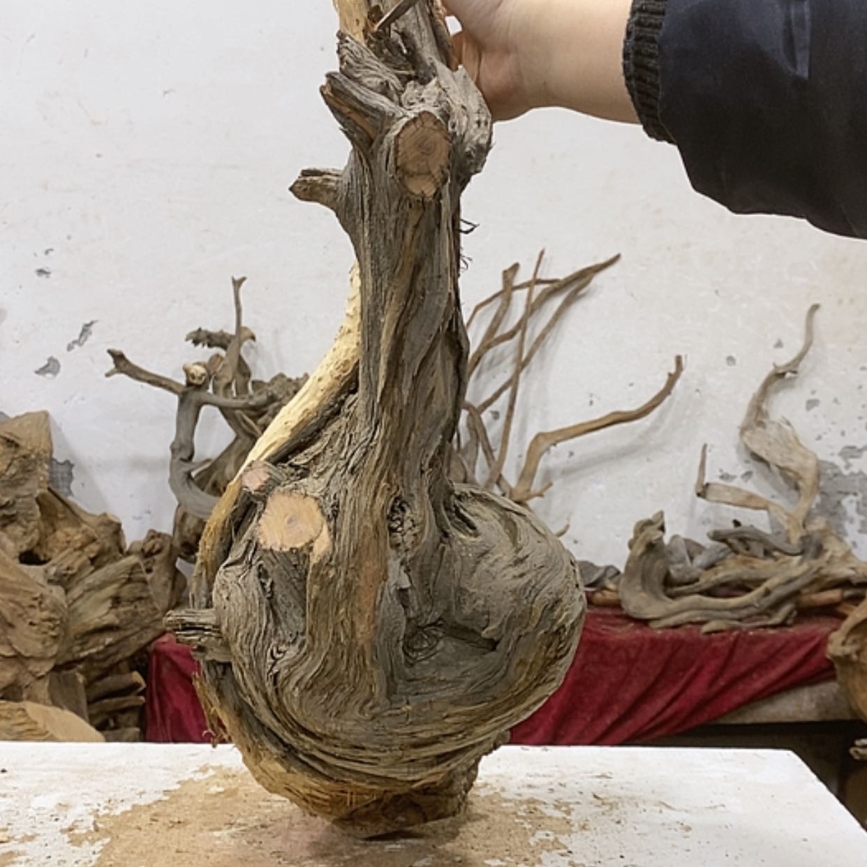 【闪购商品】柏木7*7我们都是好孩子