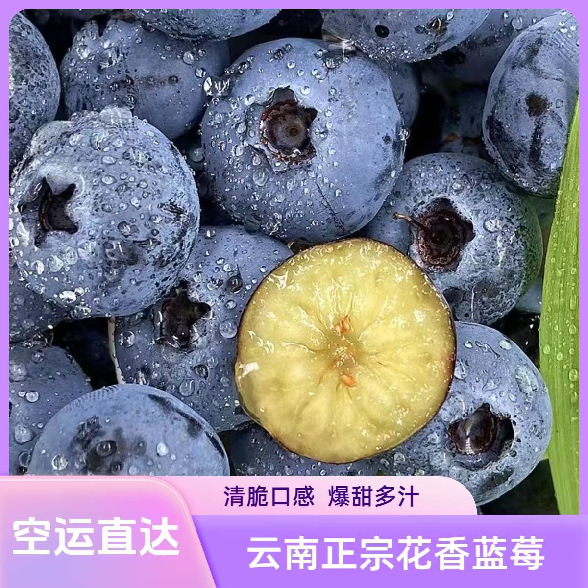 云南高山花香蓝莓产地现摘现发