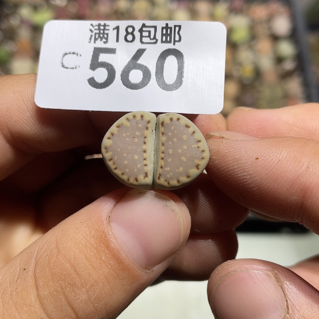 当天凑满十八元包邮560
