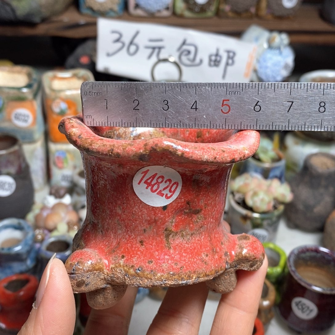 花盆拍3送个9·9的盆，拍5送同款