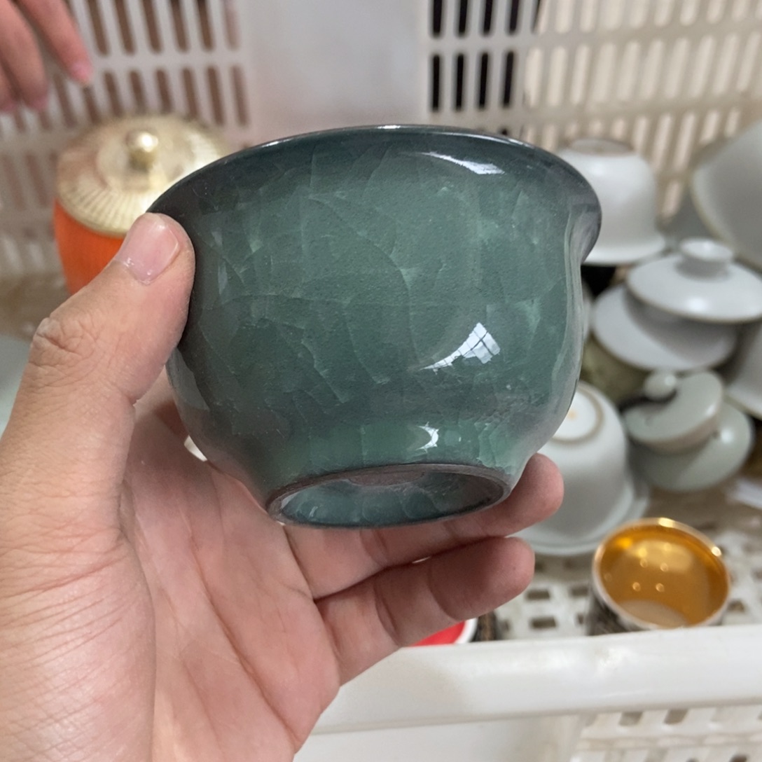 杯直播链接直播链接