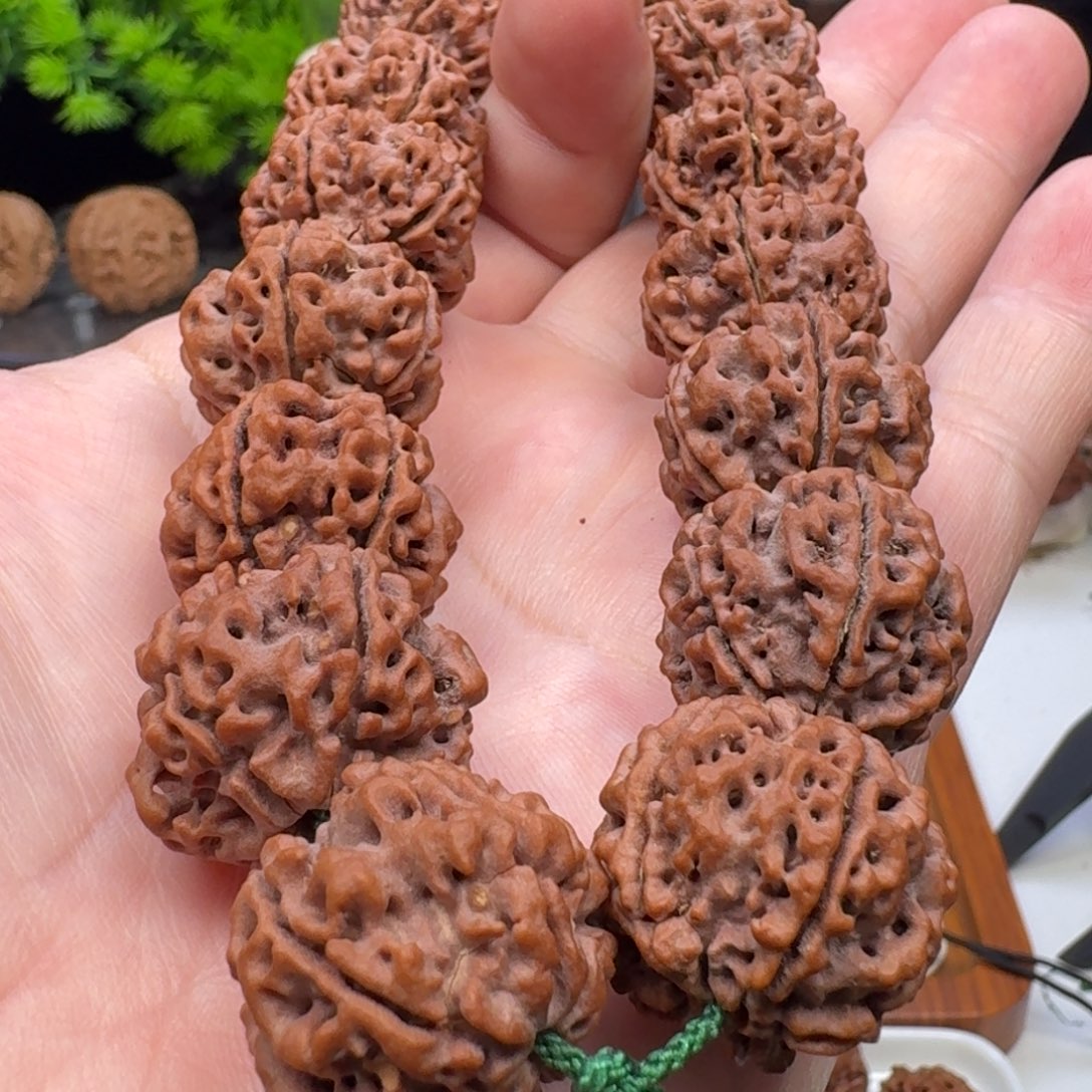 金刚菩提手串粗筋蜂窝